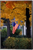 Fall Flag Fine Art Print