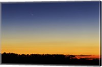 Comet Panstarrs I Fine Art Print