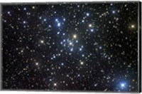 M41, a bright open star cluster located in the Constellation Canis Major Fine Art Print