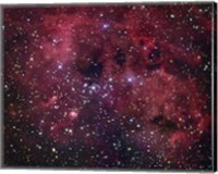 IC 410 emission Nebula in Auriga Fine Art Print