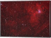 Emission Nebula iin Perseus Fine Art Print