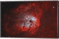 Tadpole Nebula II Fine Art Print