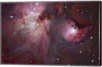 A view of the Trapezium region, which lies in the heart of the Orion Nebula Fine Art Print