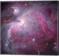 M42, Orion Nebula Fine Art Print