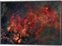 Widefield view of the Crescent Nebula Fine Art Print