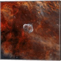 Crescent Nebula with Soap-Bubble Nebula II Fine Art Print