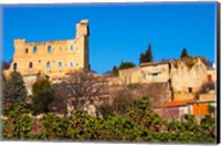 Ruins of the Pope's Summer Castle in Chateauneuf-du-Pape Fine Art Print