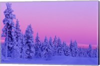 Winter Sunset in Finland Fine Art Print