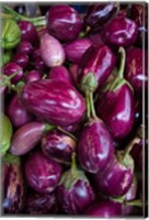 Purple Eggplant, Seafront Market Fine Art Print