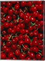 Cherries, Normandy, France Fine Art Print