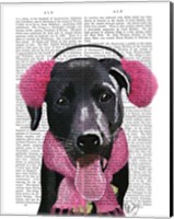 Black Labrador With Ear Muffs Fine Art Print