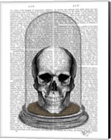 Skull In Bell Jar Fine Art Print