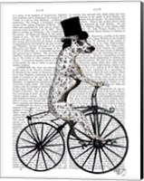 Dalmatian on Bicycle Fine Art Print