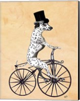 Dalmatian On Bicycle Fine Art Print