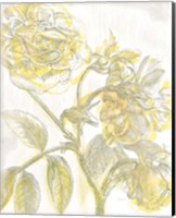 Belle Fleur Yellow I Crop Fine Art Print