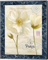 Paris Poppies w/Navy Border II Fine Art Print