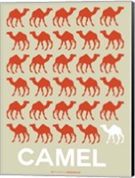 Camel Fine Art Print