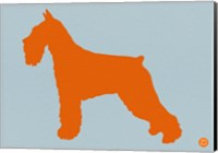 Standard Schnauzer Orange Fine Art Print