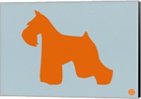 Miniature Schnauzer Orange Fine Art Print