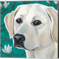 Dlynn's Dogs - Magnolia Fine Art Print