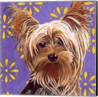 Dlynn's Dogs - Ringo Fine Art Print