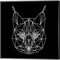 Bobcat Polygon1 Fine Art Print