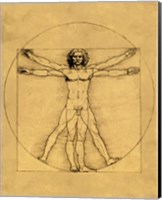 Proportions of the Human Figure - Vitruvian Man Fine Art Print