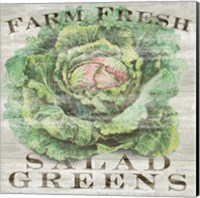 Farm Fresh Greens Fine Art Print