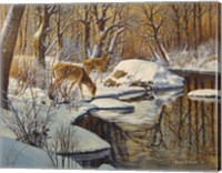 Quinnipiac River White Tails Fine Art Print