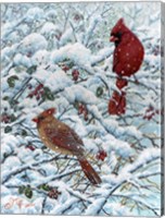 Winter Cardinal Painting Fine Art Print