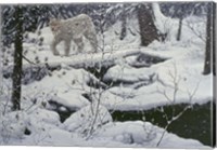 Canadian Lynx & Snowshoe Hare Fine Art Print