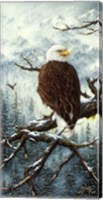 Eagle Rest Fine Art Print