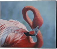 Figure 8 - Flamingo Fine Art Print