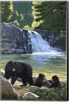 Black Bear with Cubs 3 Fine Art Print