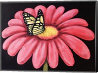 Butterfly's Snack Fine Art Print