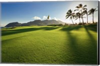 Golf Course, Kauai Lagoons, Kauai, Hawaii Fine Art Print