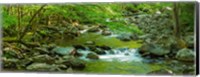 Creek in Great Smoky Mountains National Park, Tennessee Fine Art Print