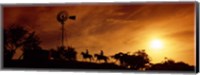 Horse Ride at Sunset, Hunt, Kerr County, Texas Fine Art Print