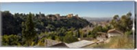 Alhambra Palace from Sacromonte, Granada, Andalusia, Spain Fine Art Print