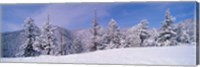 Snow Covered Landscape, Colorado Fine Art Print