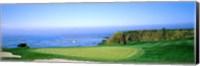 Pebble Beach Golf Course, Monterey County, California Fine Art Print