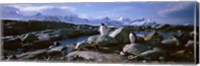 Penguins on Peterman Island Fine Art Print