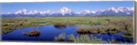 Grand Teton Park, Wyoming (color) Fine Art Print