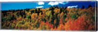 Fall Durango, Colorado Fine Art Print