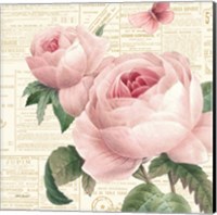 Roses in Paris VI Fine Art Print