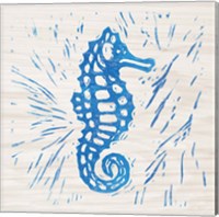 Sea Creature Seahorse Blue Fine Art Print