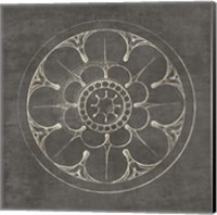 Rosette III Gray Fine Art Print