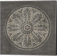 Rosette VIII Gray Fine Art Print