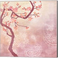 Sweet Cherry Blossoms V Fine Art Print