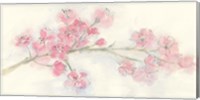 Cherry Blossom I Fine Art Print